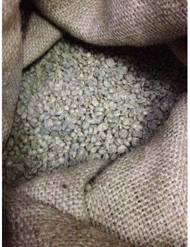 Café vert Guatemala