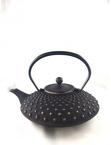 Théière fonte du Japon 0,75L