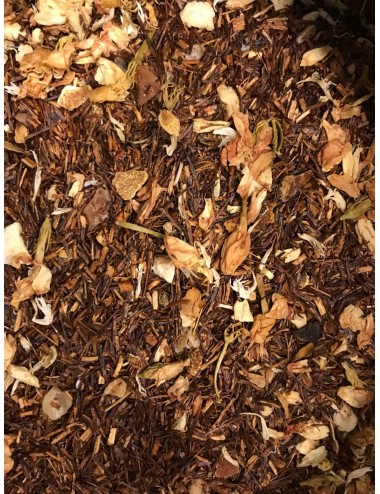 ROOIBOS - HIVER AUSTRAL