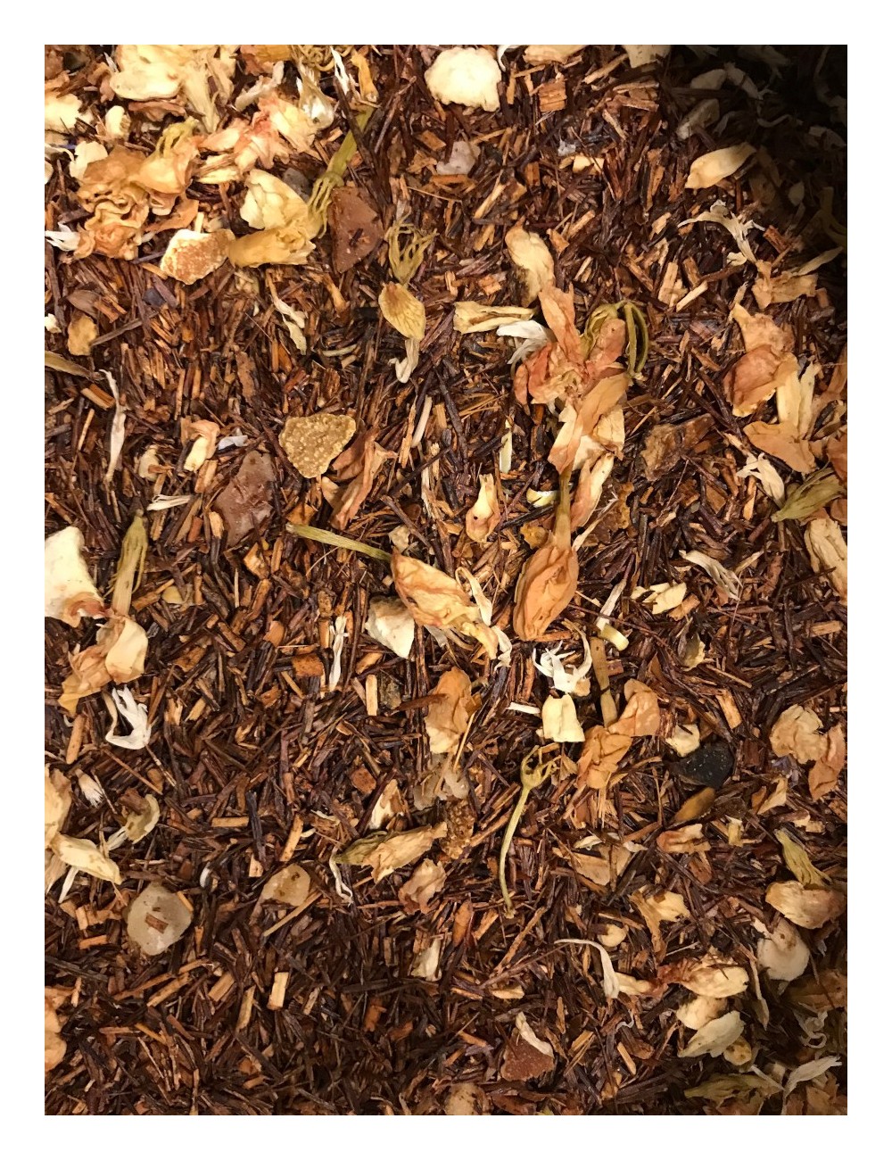 Rooibos - Hiver Austral