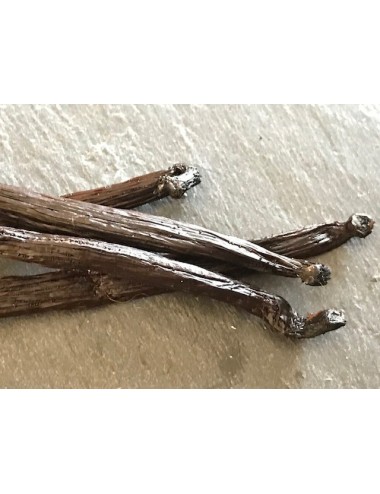 Café Vanille (Moulu)