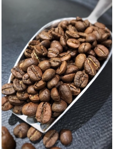 Café Kopi Luwak (Sauvage) grains