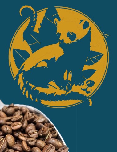 Café Kopi Luwak (Sauvage) grain