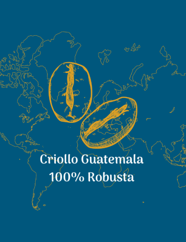 ROBUSTA CRIOLLO - GUATEMALA