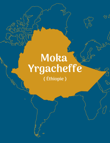 MOKA YRGACHEFFE - ETHIOPIE