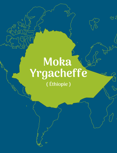 Café vert Moka YrGacheffe