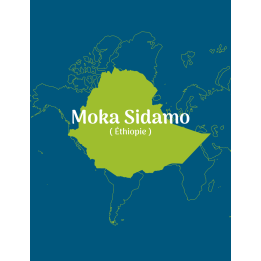 Café vert Moka Sidamo