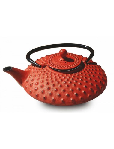 Théière fonte du Japon 1,2L