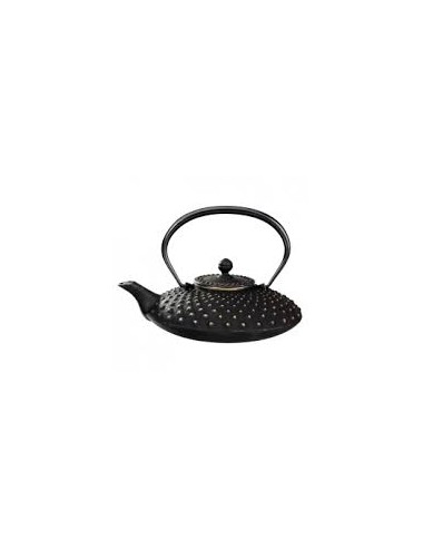 Théière fonte du Japon 0,75L
