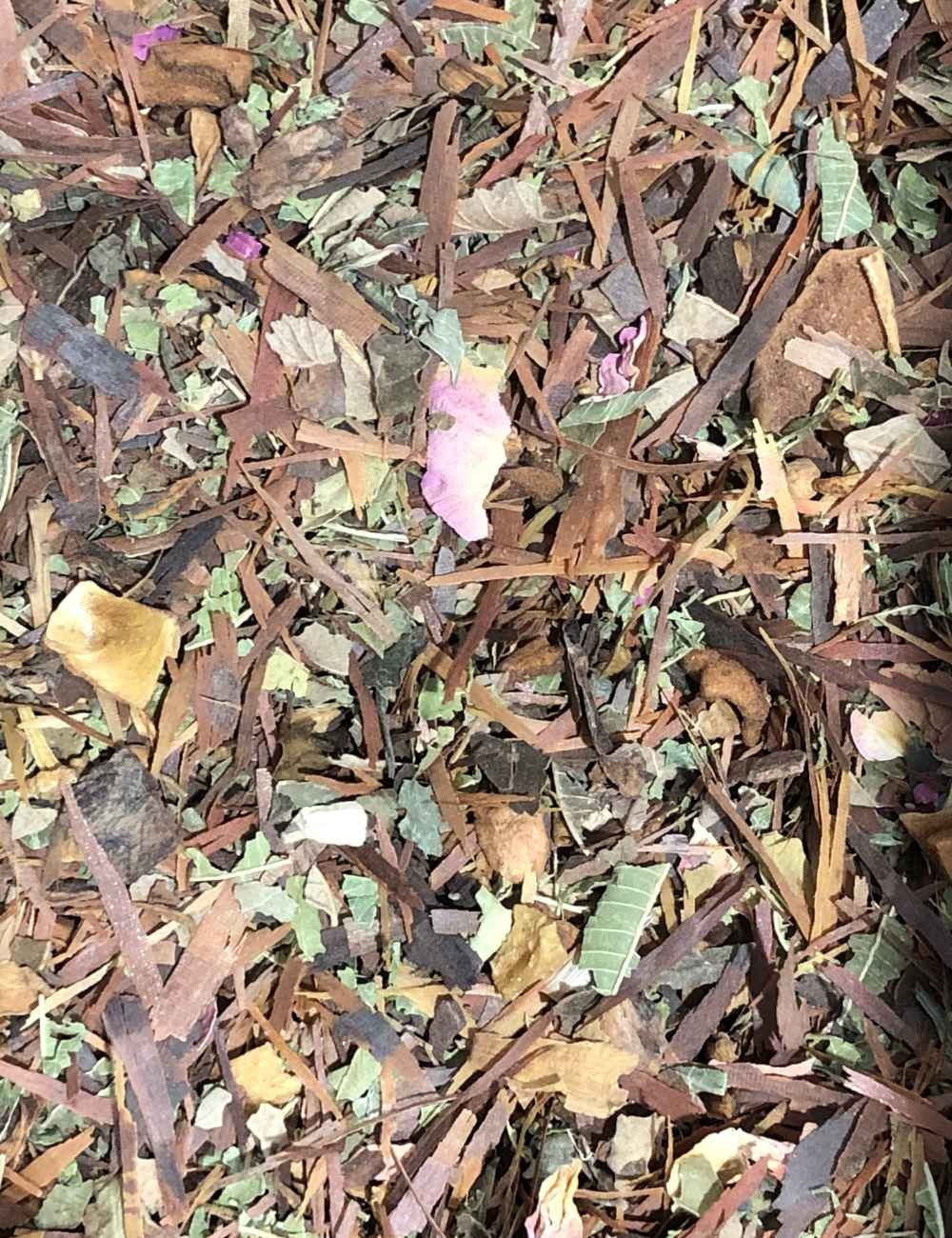 Tisane - Arbre de vie Tisane - Arbre de vie