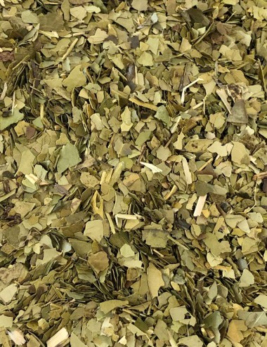 Maté vert