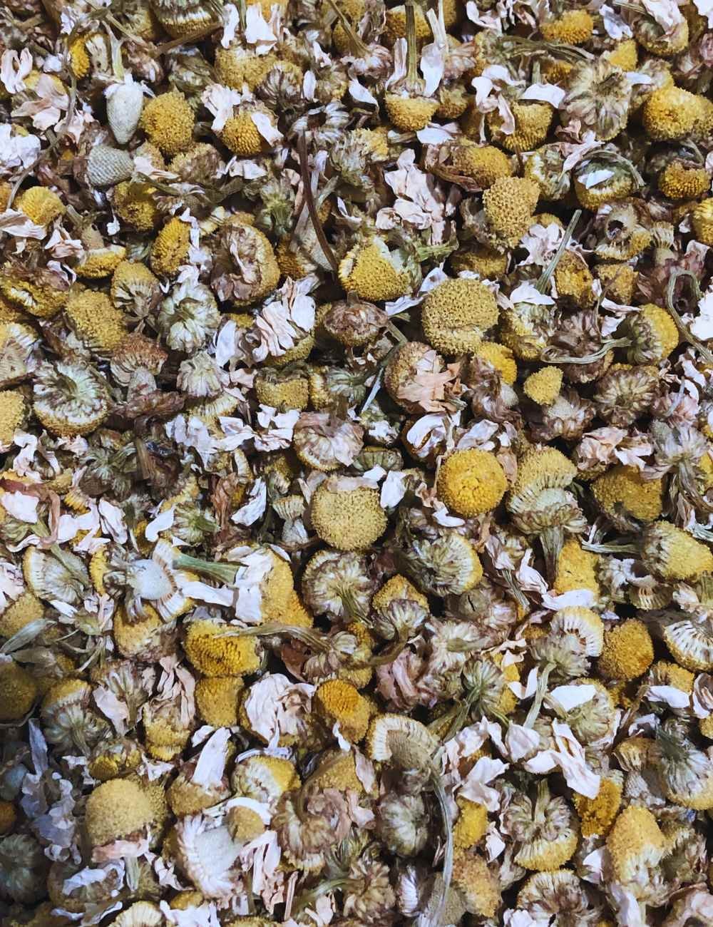 Tisane - Fleur de camomille Tisane - Fleur de camomille