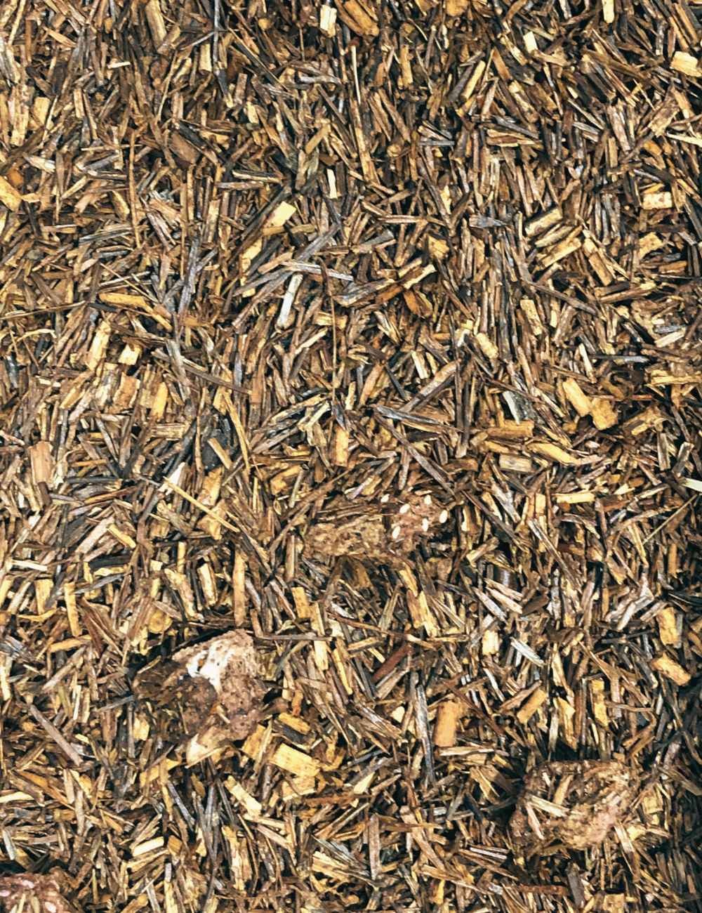 ROOIBOS - RAMENE TA FRAISE ROOIBOS - RAMENE TA FRAISE