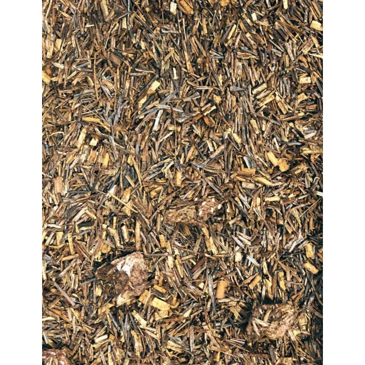 ROOIBOS - RAMENE TA FRAISE