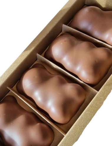 OURSONS EN GUIMAUVES