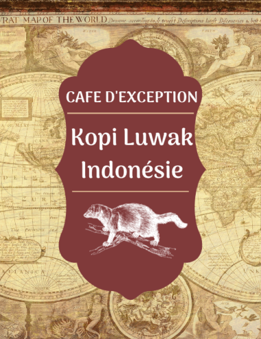 Café Kopi Luwak (Sauvage) grain