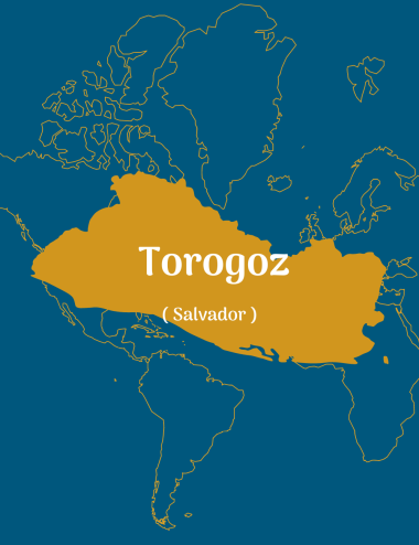TOROGOZ - EL SALVADOR