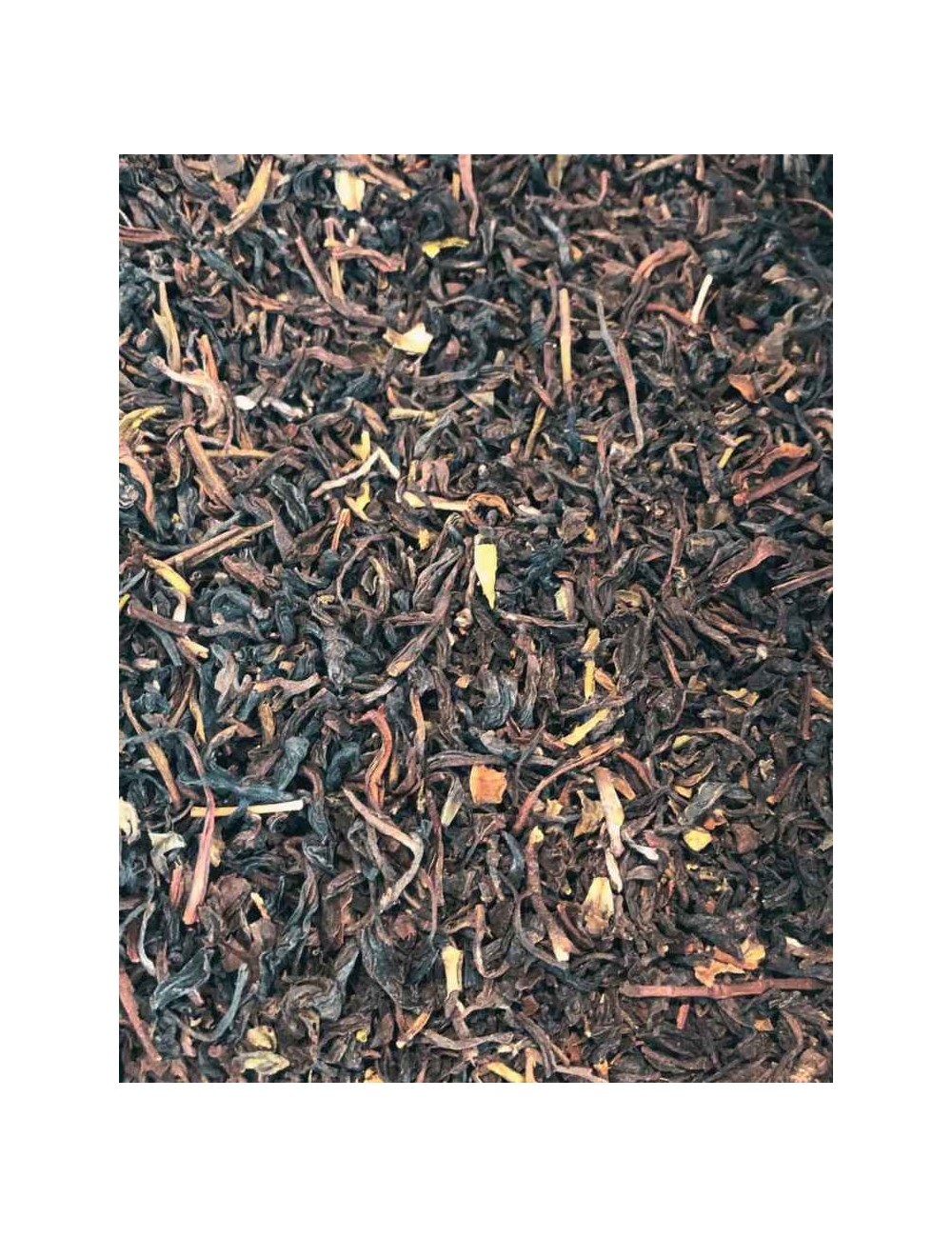 Thé noir - Darjeeling FTGFOPI BIO