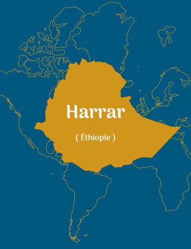 Moka harrar - Ethiopie