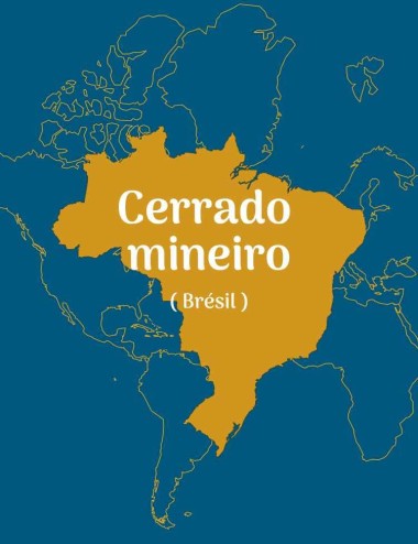 Cerrado-Mineiro - Brésil