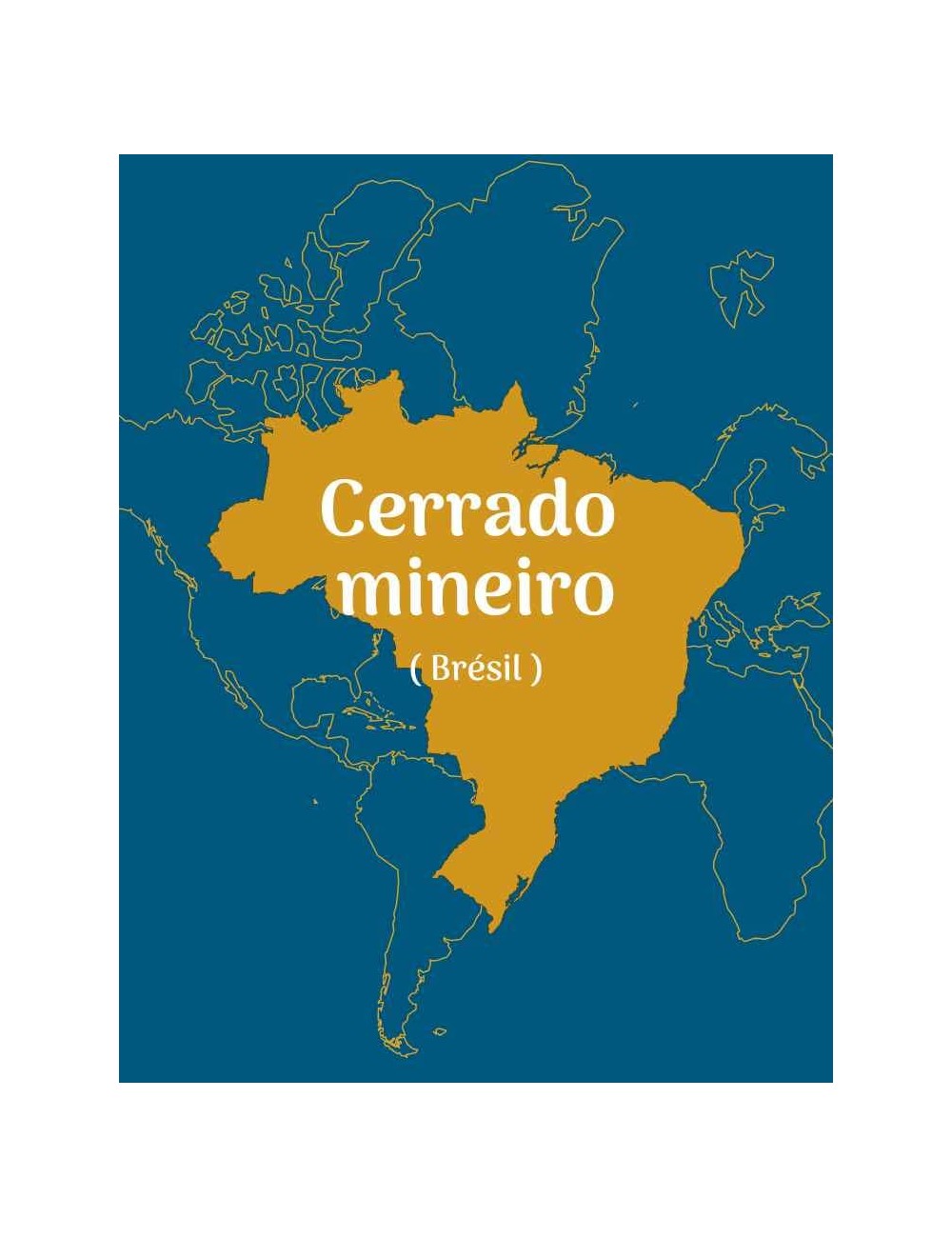 Cerrado-Mineiro - Brésil Cerrado-Mineiro - Brésil