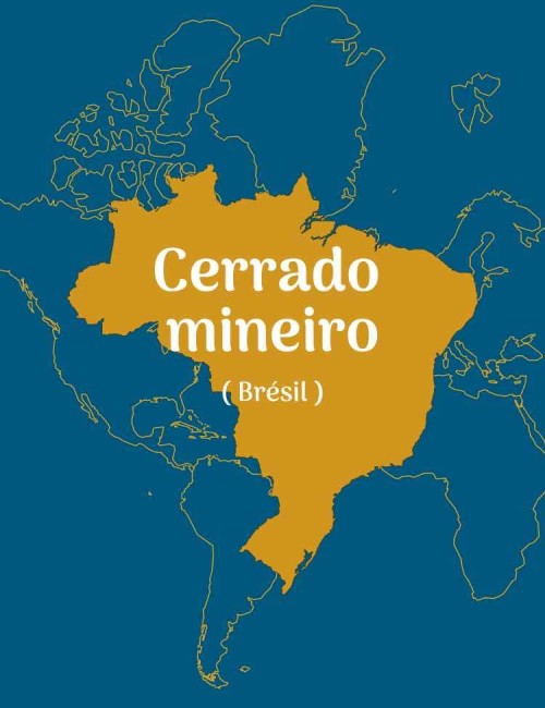 CERRADO MINEIRO - BRESIL