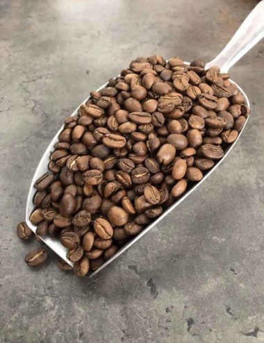 Robusta Criollo - Guatemala