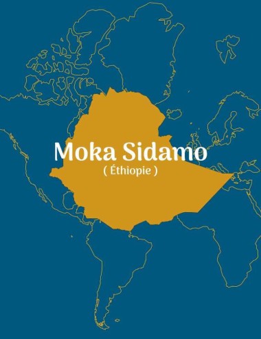 Moka Sidamo