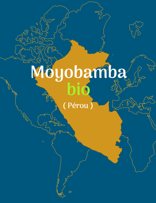 BIO - MOYOBAMBA - PEROU