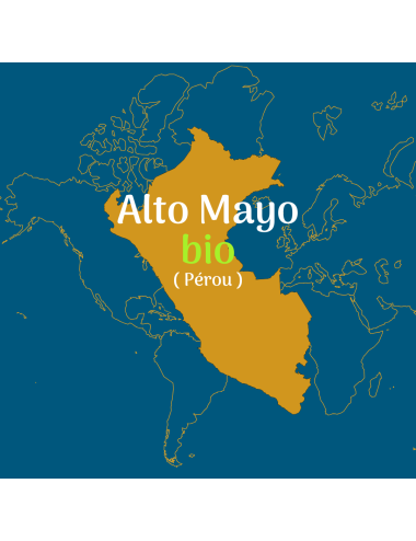 PEROU - ALTO MAYO