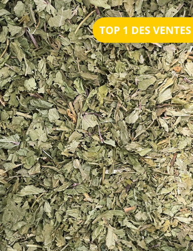 Tisane - Les belles endormies