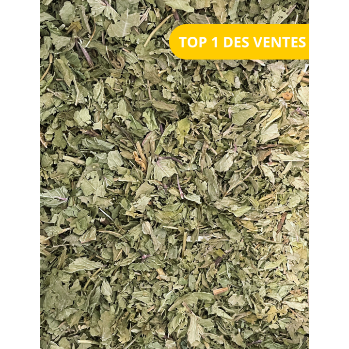 Tisane - Les belles endormies - La Brûlerie des Alpes