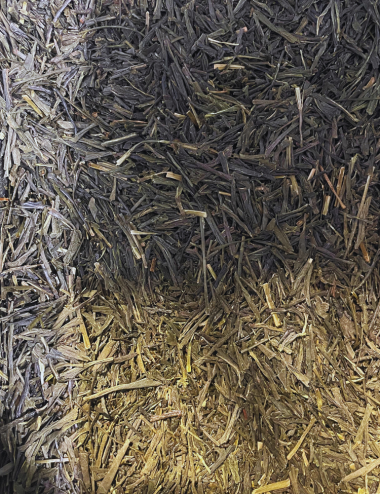 Thé vert - Gyokuro ashahi