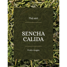 Thé vert - Sencha calida - La Brûlerie des Alpes