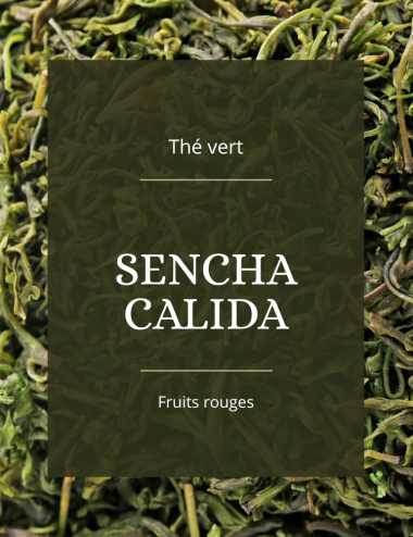 Thé vert - Sencha calida