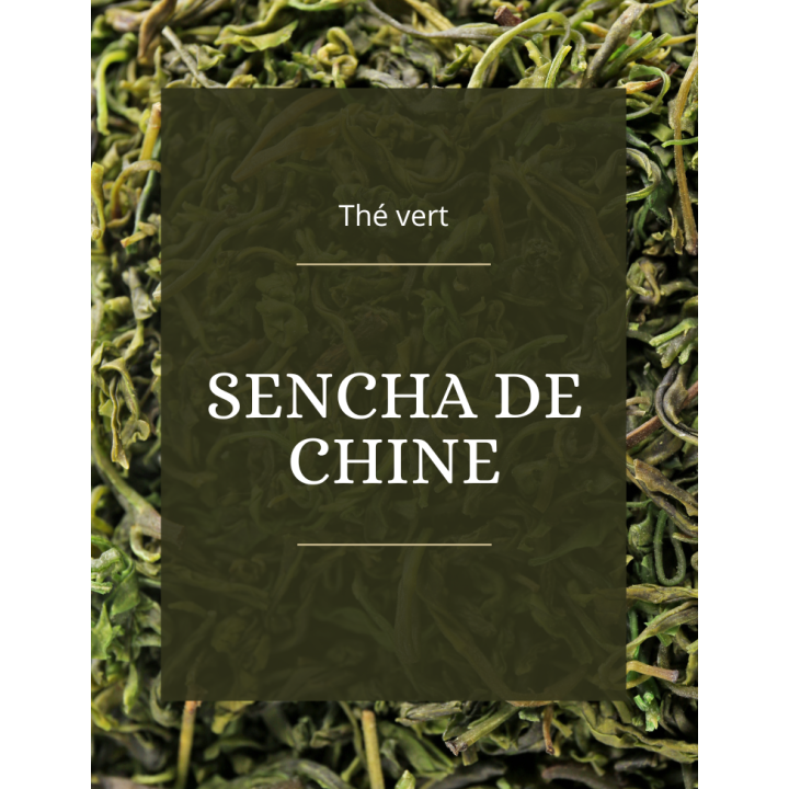 Thé vert - Sencha de Chine - La Brûlerie des Alpes