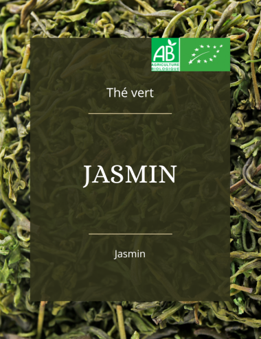 Thé vert - Jasmin Bio